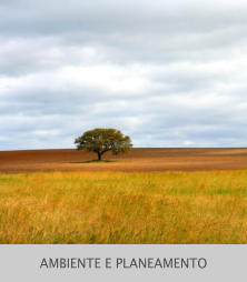 AMBIENTE E PLANEAMENTO