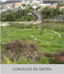 CONCELHO DE SINTRA